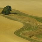 Immer schön die Kurve kriegen und in Schwung bleiben