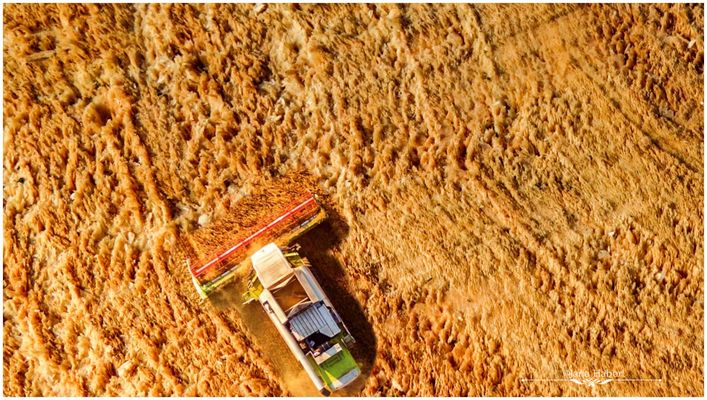 Immer schön fleißig