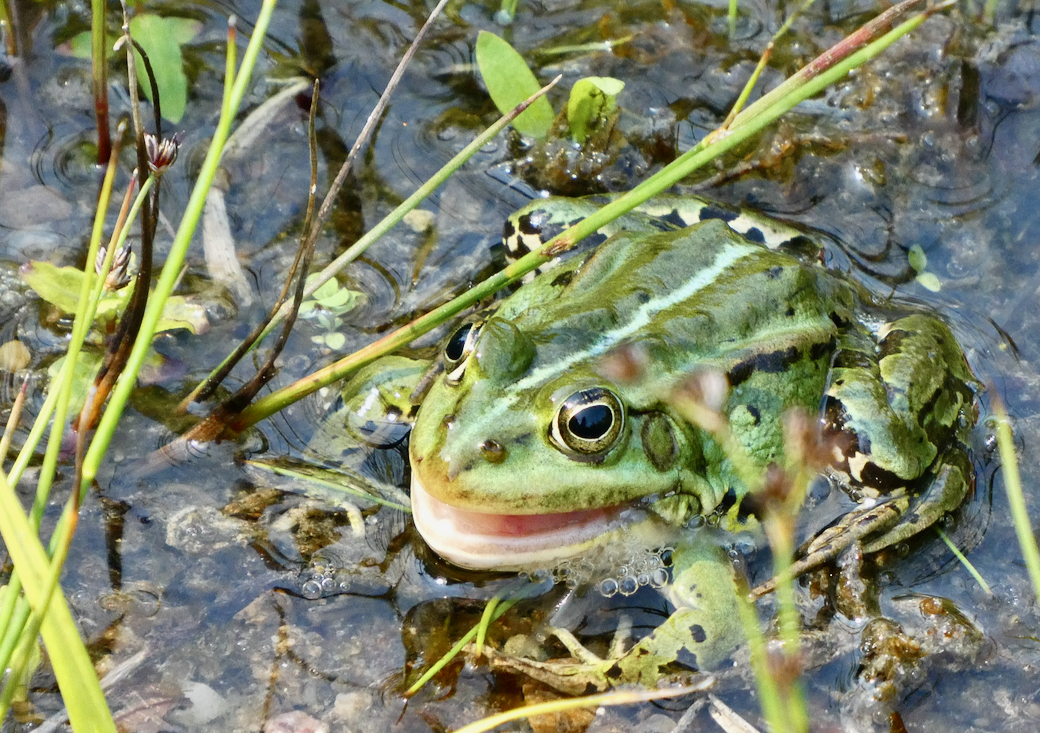 Immer schön fröhlich bleiben.