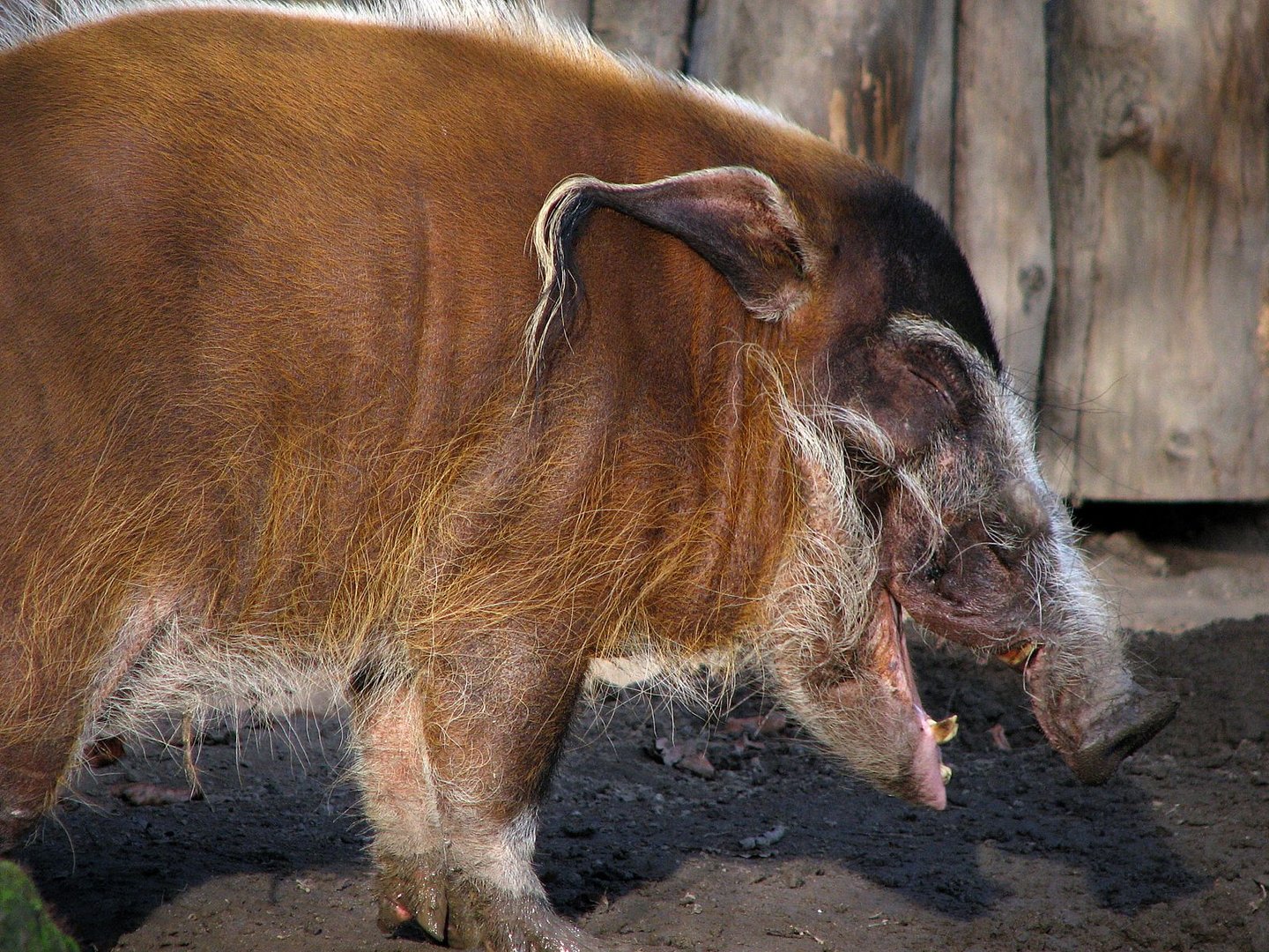 Immer schön fröhlich bleiben II