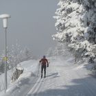 Immer schön in der Spur bleiben 