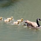 Immer schön in Zweierreihen! Und nicht bummeln!