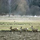 Immer schön nach der Reihe