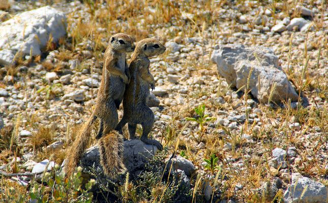 Immer schön neugierig bleiben.
