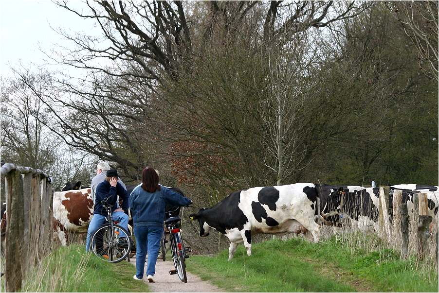 immer schön rechts vor links ...