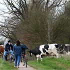 immer schön rechts vor links ...