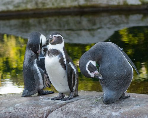 Immer schön sauber bleiben. 