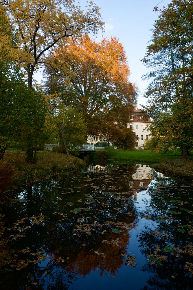 Immer sehenswert... Branitzer Park Cottbus