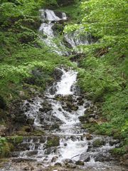 immer tiefer fällt das Wasser