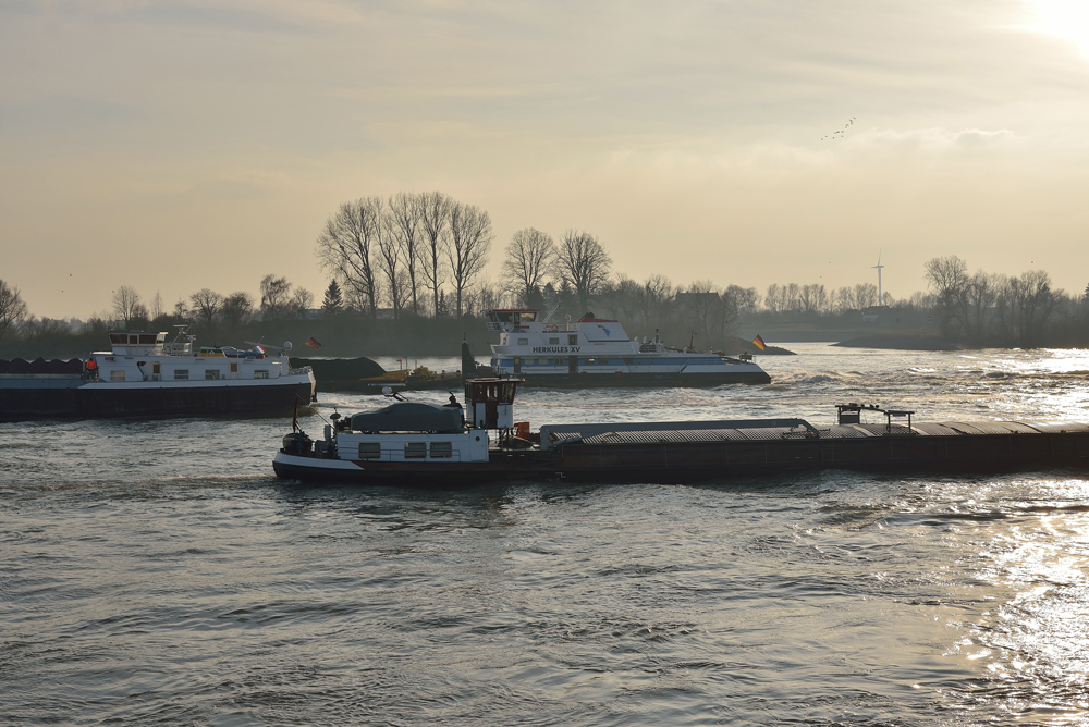 Immer was los - auf dem Rhein.