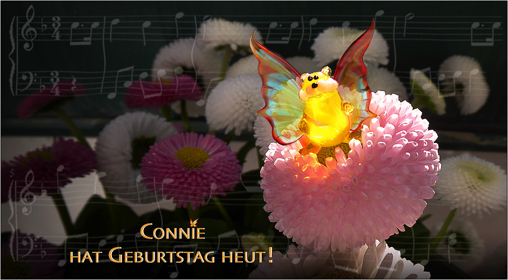 Immer wenn Connie …