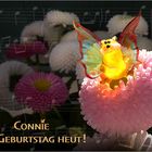 Immer wenn Connie …