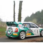 ...immer wieder Deutscher Rallyemeister 2