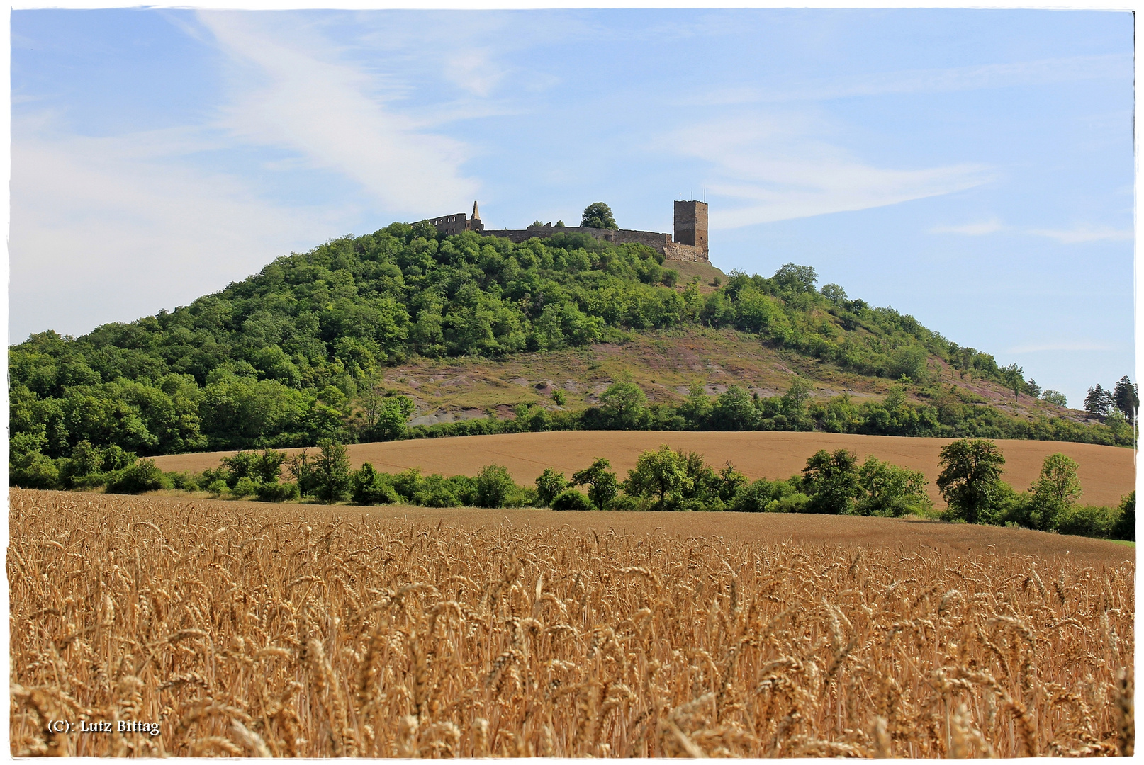 Immer wieder die Gleichen