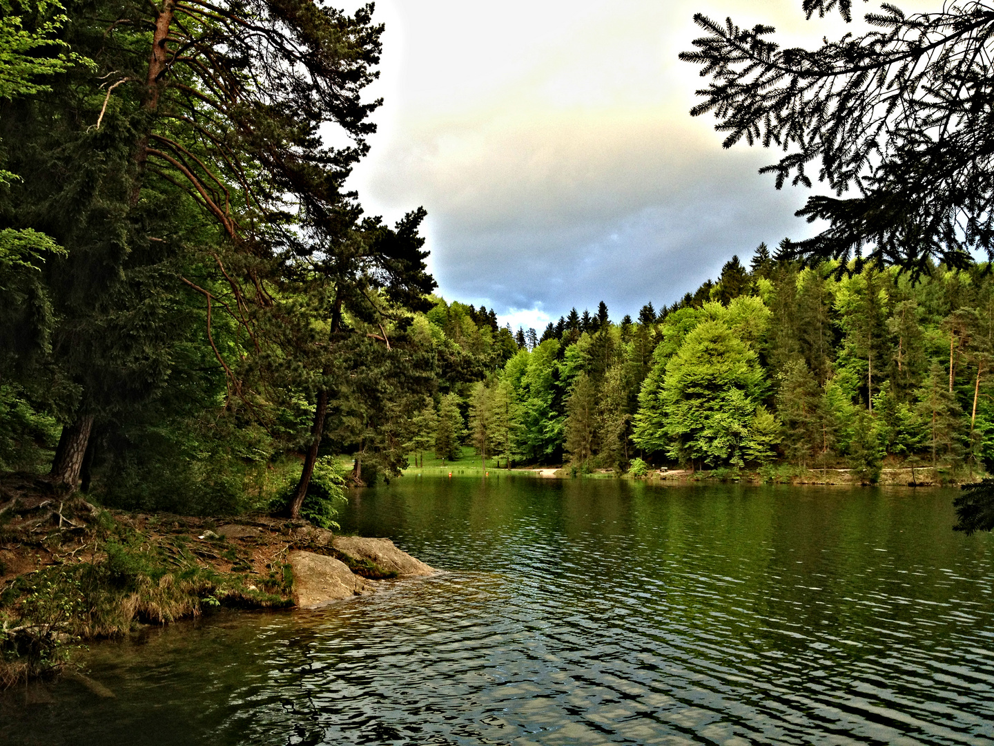 Immer wieder eine beeindruckende Naturschönheit ... der Hechtsee