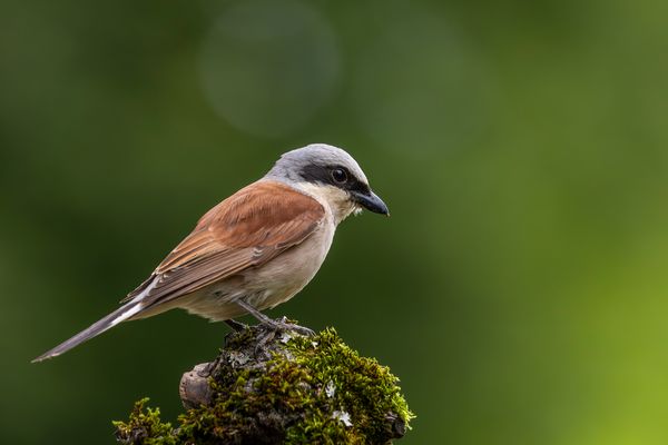 Immer wieder gerne...:.