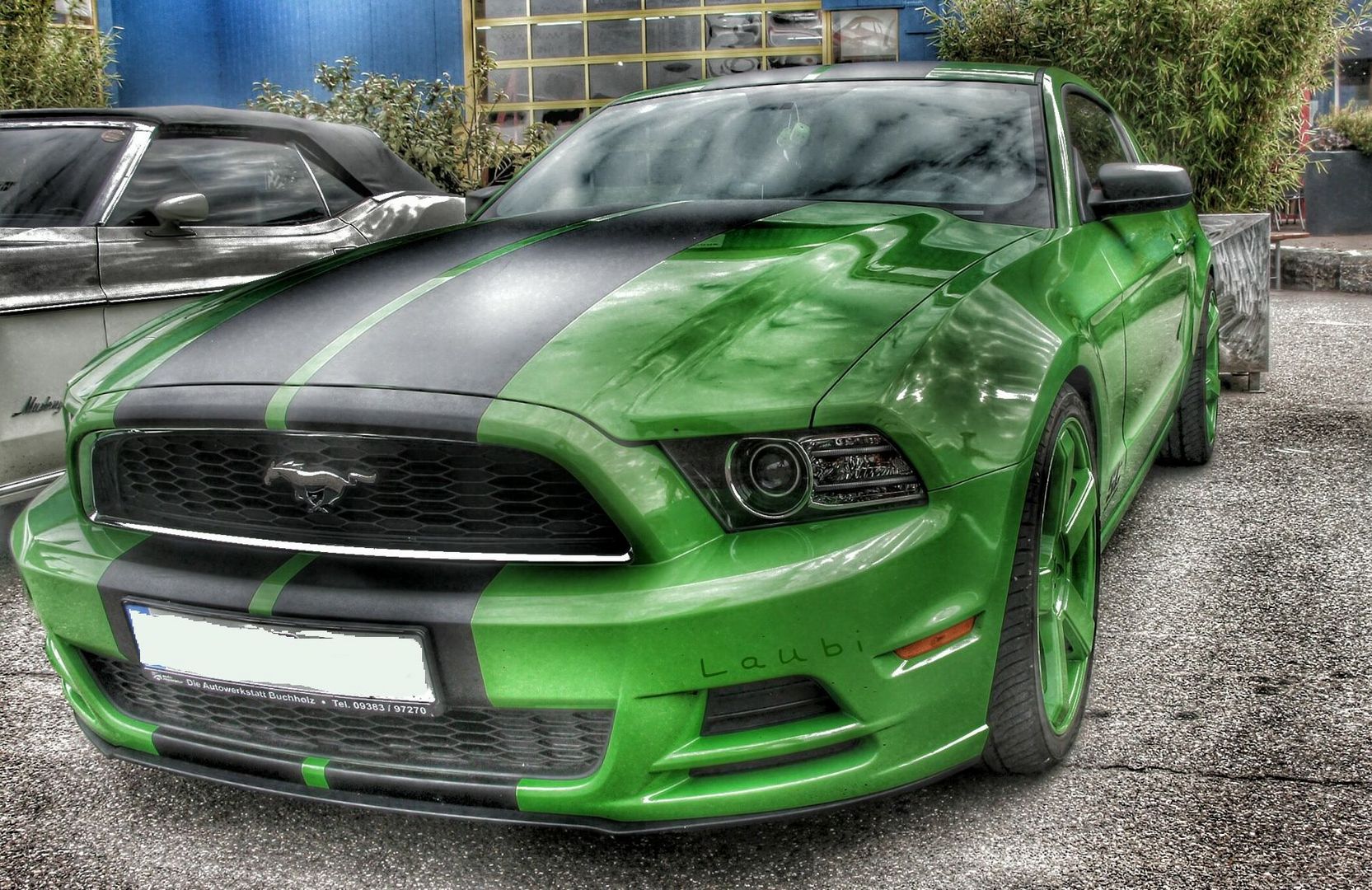 Immer wieder Mustang