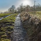 Immer wieder Regen