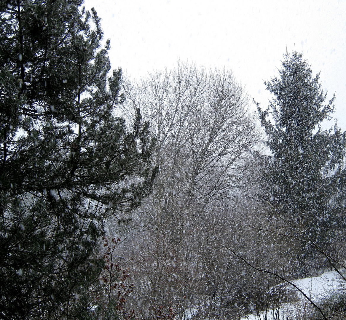 immer wieder schneite es heute