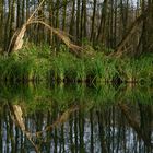 Immer wieder wundervolle von der Natur geschaffene Formen