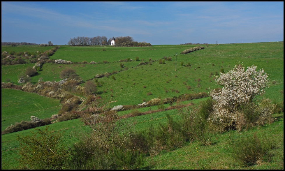 Immerather Frühling