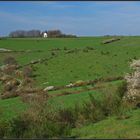 Immerather Frühling