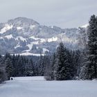 Immerhin: 10 Zentimeter Schnee