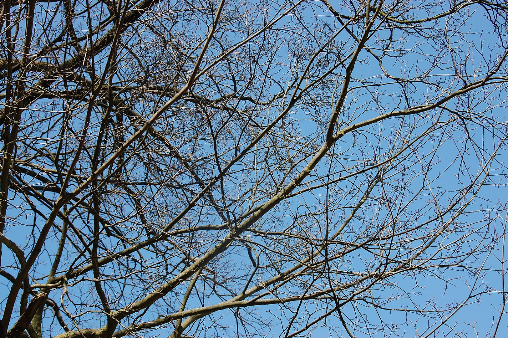 immerhin  ist der Himmel blau