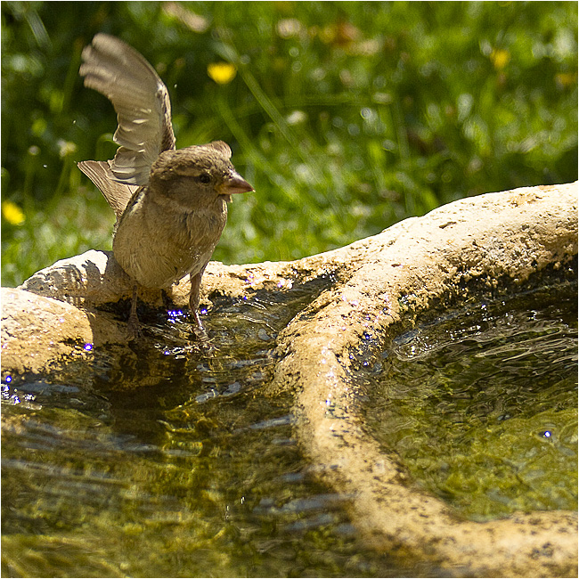 immernoch badezeit