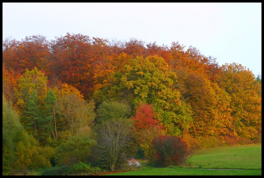 Immernoch Herbst