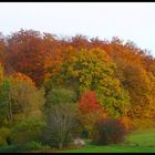 Immernoch Herbst