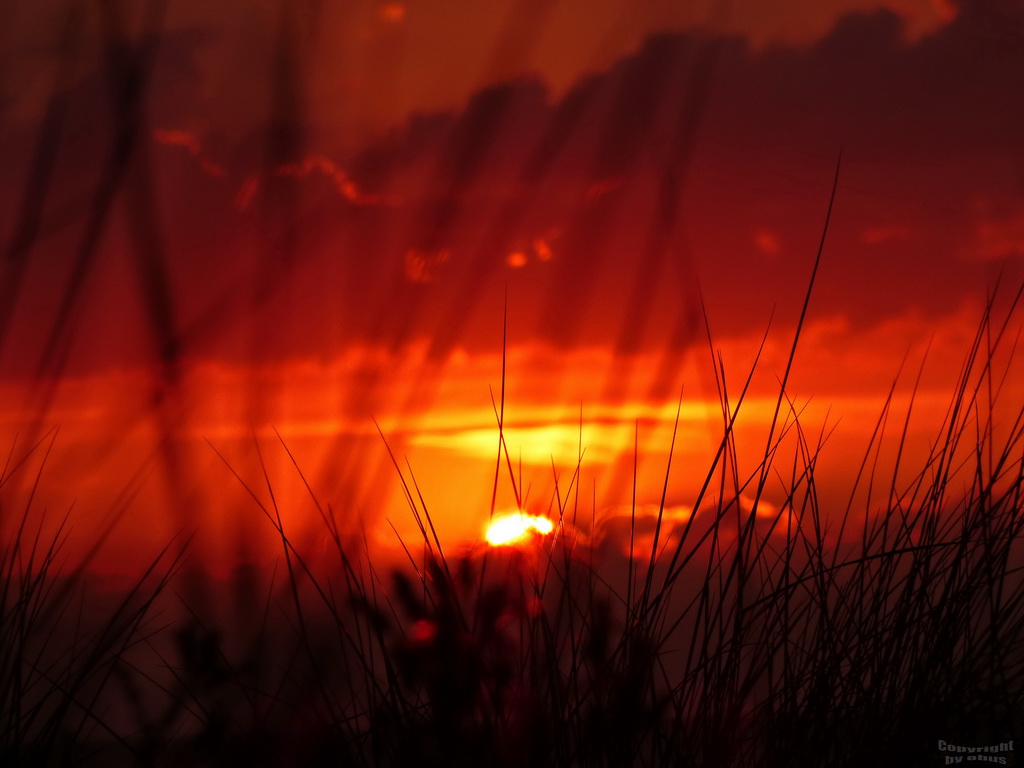 Immernoch Hiddensee