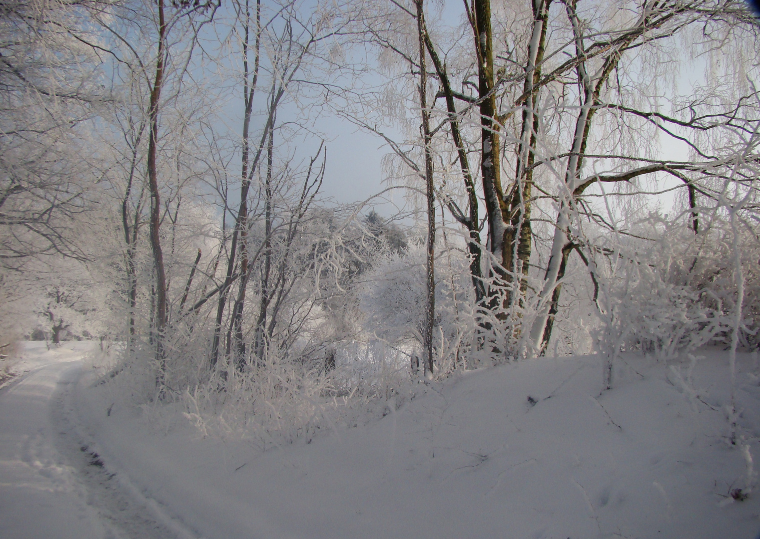 Immernoch Winter