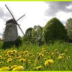 Immerrather Windmühle