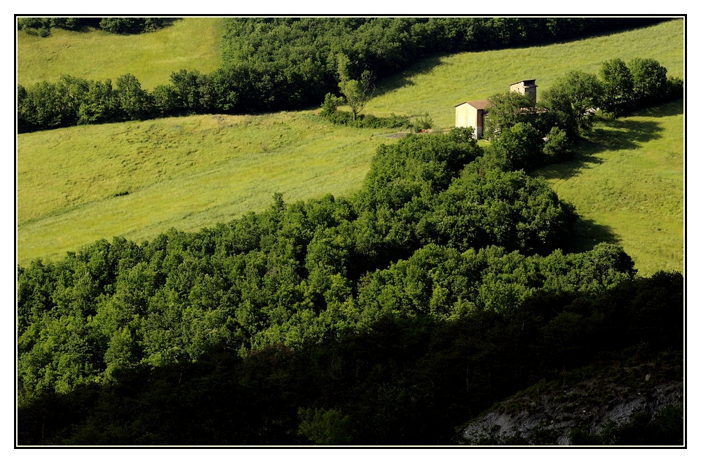 ...immersa nel verde!..