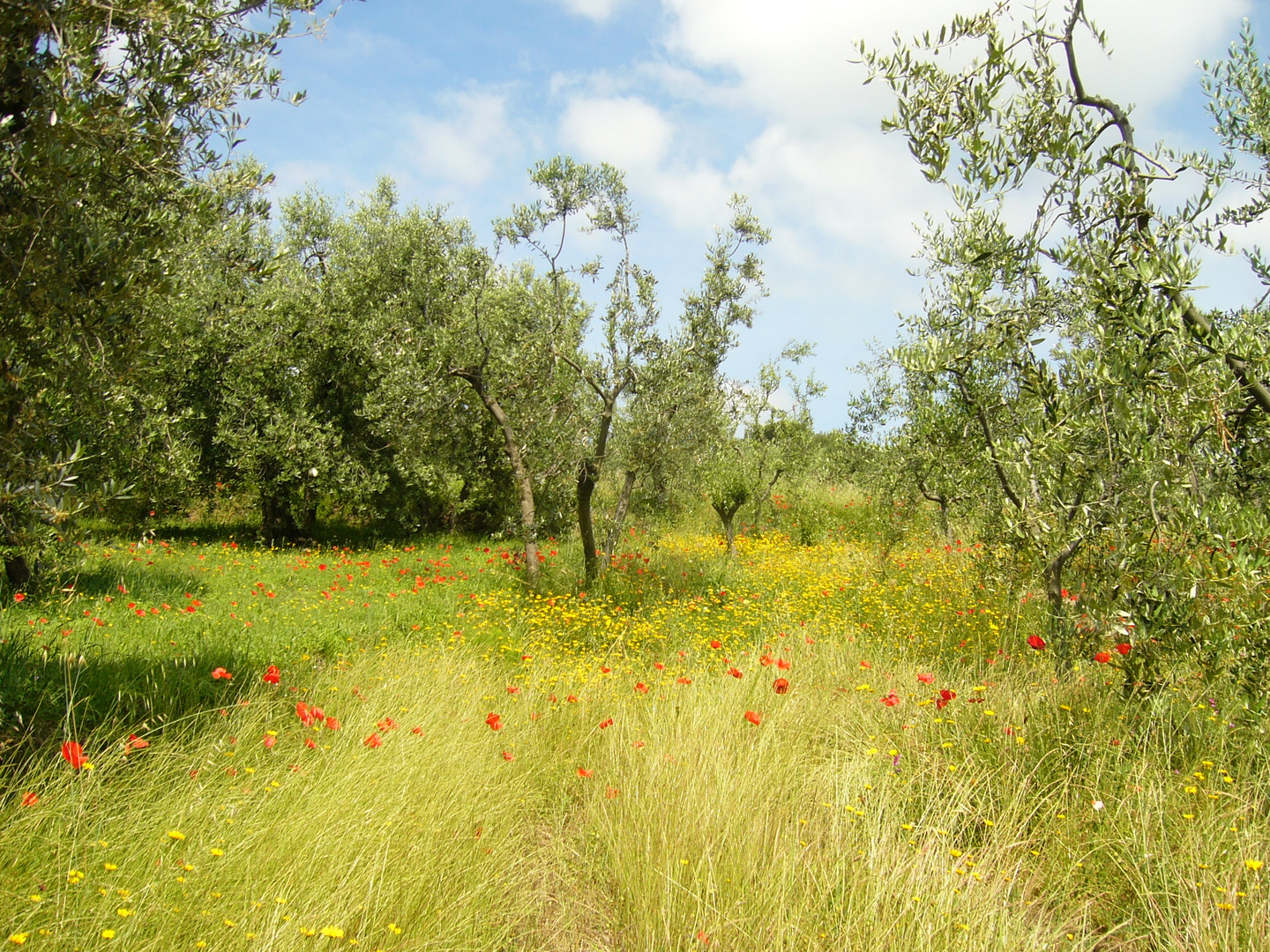 Immersi nella natura