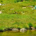 Immersione nella natura: "confidenze"