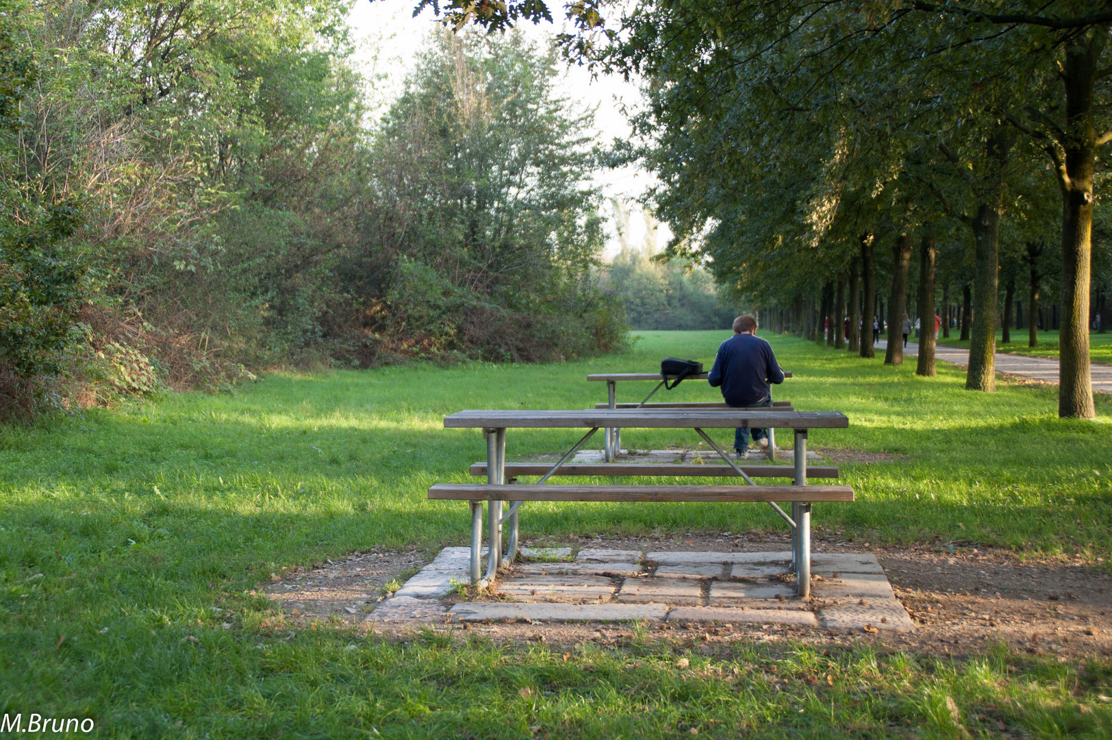 Immerso nella natura