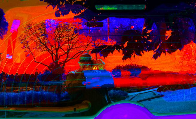 Immerso......nei colori