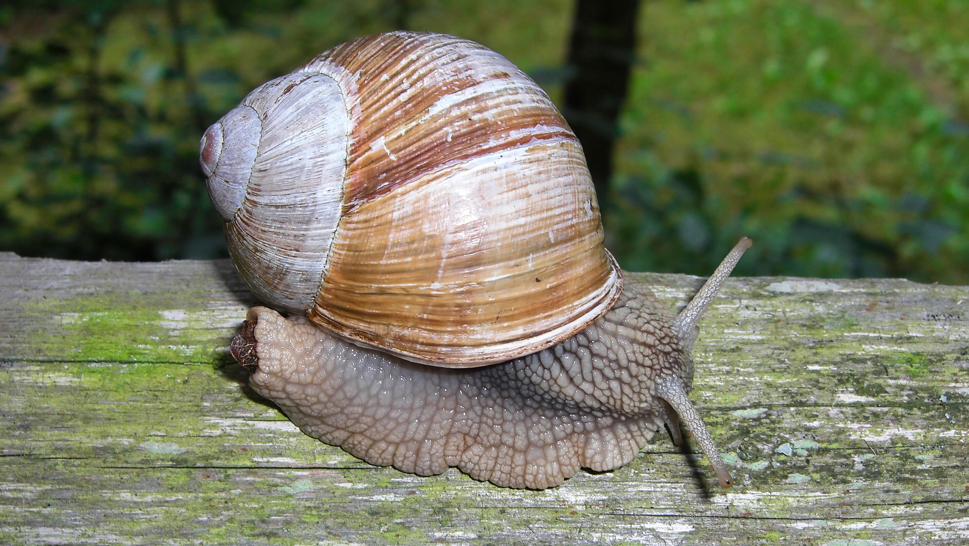 Immobilien sind schwer zu bekommen