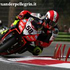 Imola mondiale SBK