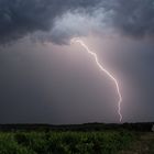 Impact sur Donzère