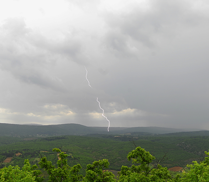 Impact sur la garrigue