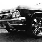 impala1, aus der Serie back to the roots