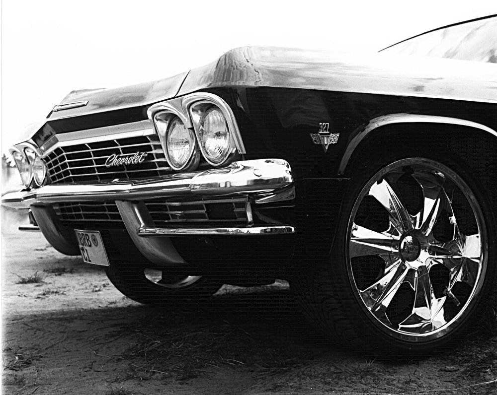 impala1, aus der Serie back to the roots
