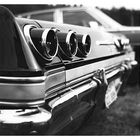 Impala3, aus der Serie back to the roots