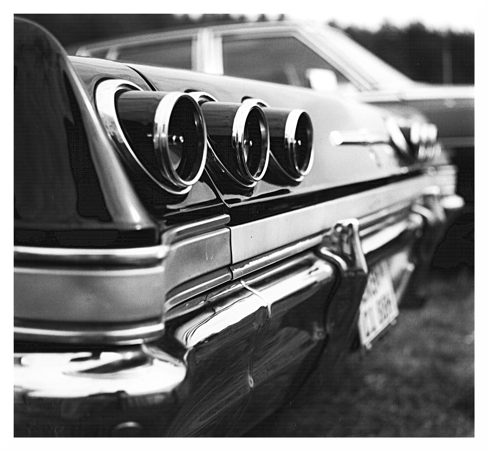 Impala3, aus der Serie back to the roots