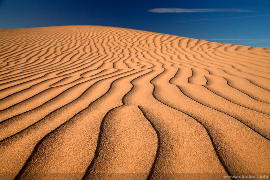 Imperial Dunes