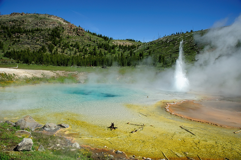 Imperial Geyser