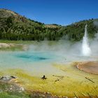 Imperial Geyser